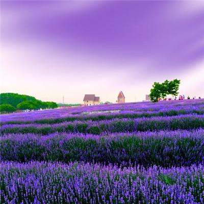 云开平台app最新版app下载